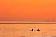Peter Shinyeda Photography (4)